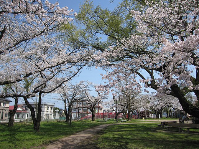 🌳 계성 공원 (케이죠 코엔)